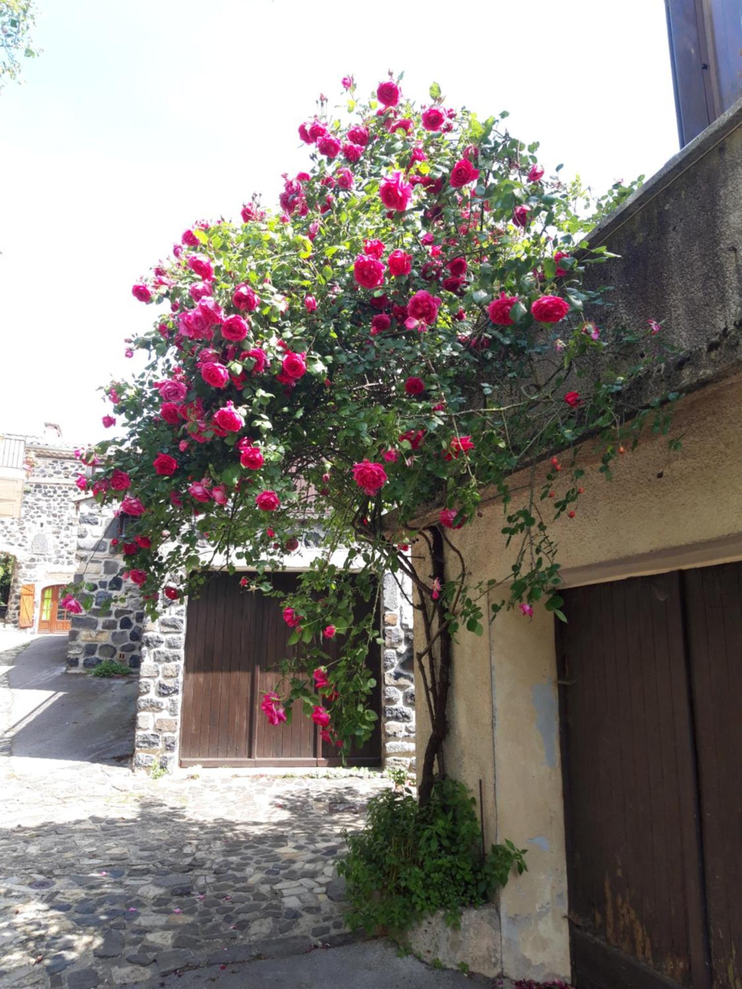 Le Cocon Villa Lussas Luaran gambar
